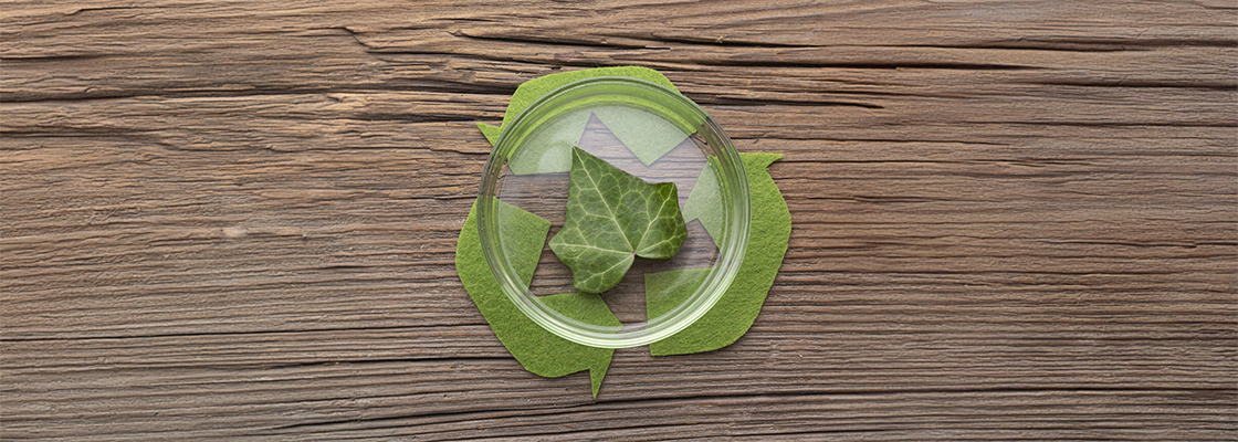Economie circulaire