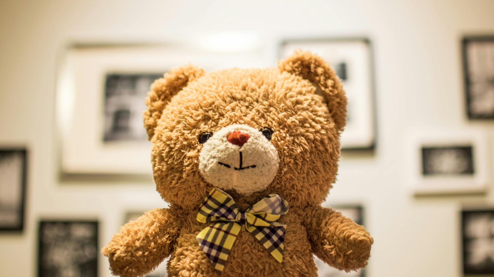 Ours en peluche de seconde vie illustrant le réemploi des jouets et l'économie circulaire soutenus par Ecomaison.