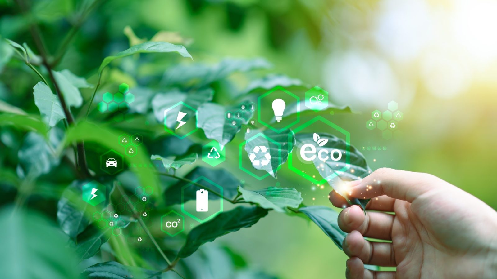 Main touchant une feuille entourée de symboles liés à l’éco-innovation, au recyclage et aux énergies renouvelables.